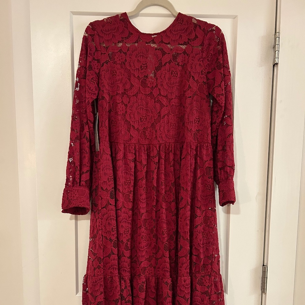 NWT Hutch x Anthropologie Rose Lace Midi Dress in Small